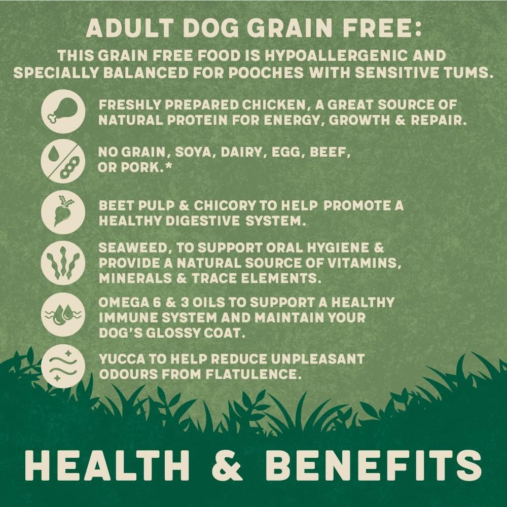 Harringtons Complete Grain Free Hypoallergenic Chicken & Sweet Potato Dry Adult Dog Food 1kg - Made with All Natural Ingredients — view 6