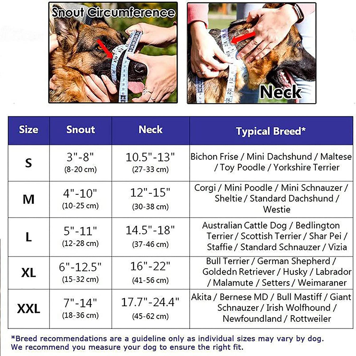 Licol pour Chien,Le Collier Anti-Traction de Dressage pour Chiens,Outil de Dressage pour Chien,Harnais Professionnel pour Chien,Muselière pour Chien,Le Dressage du Chien,5 Tailles (XL)