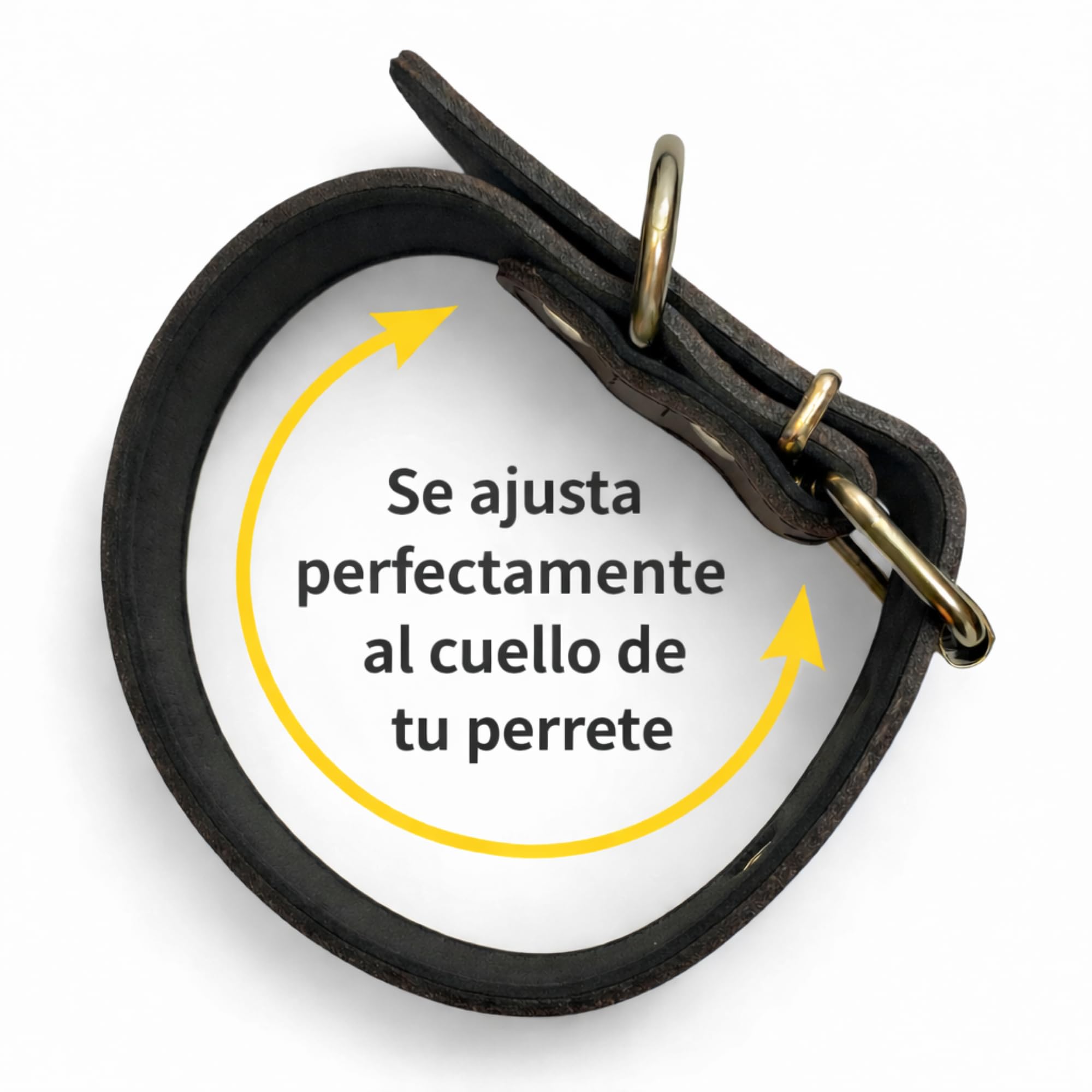 Collar para Perro de Cuero con Acolchado - Personalizable con Nombre Grabado - Hecho a Mano, Resistente y Elegante - Llavero Personalizado de Regalo (Negro, XL: Rango de Cuello 48–58 cm)