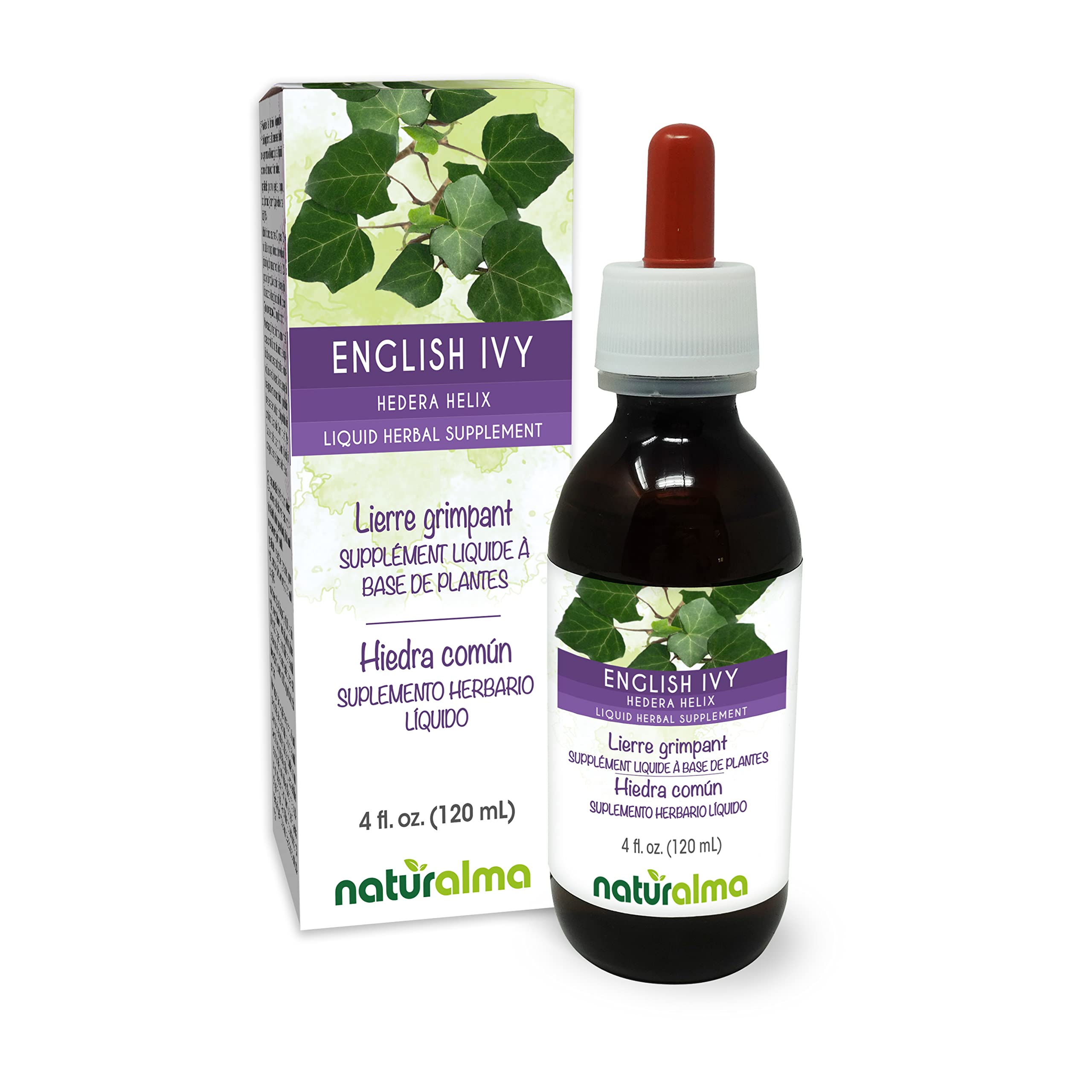 Amazon.com: Naturalma Common Ivy or English Ivy (Hedera Helix) Leaf  Alcohol-Free Tincture - 4 fl oz Liquid Extract in Drops - Herbal Supplement  - Vegan : Health & Household