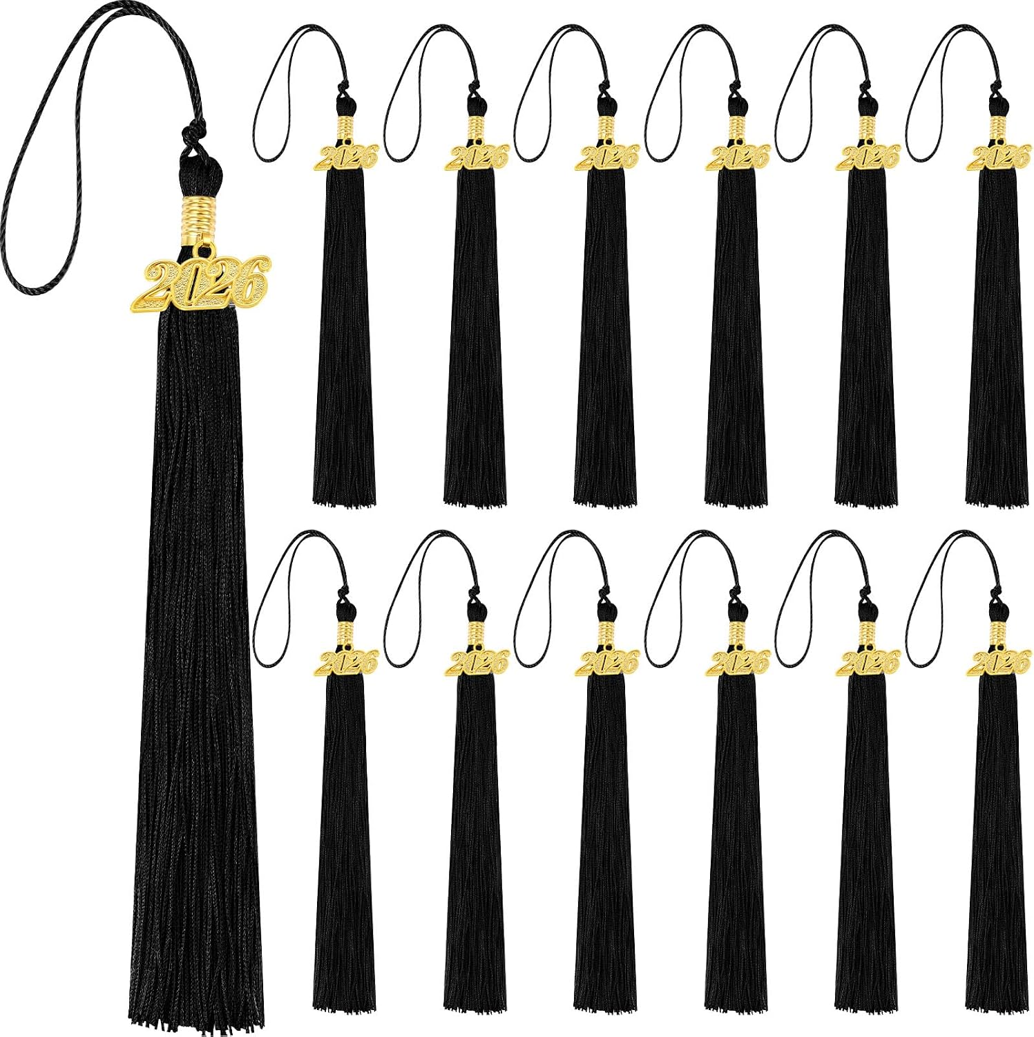 Dingion 12 Pcs Black 2026 Graduation Tassel Class of 2026 Cap Tassel with Gold Year Charm Graduation Cap Decoration for High School College Senior Ceremony Accessories