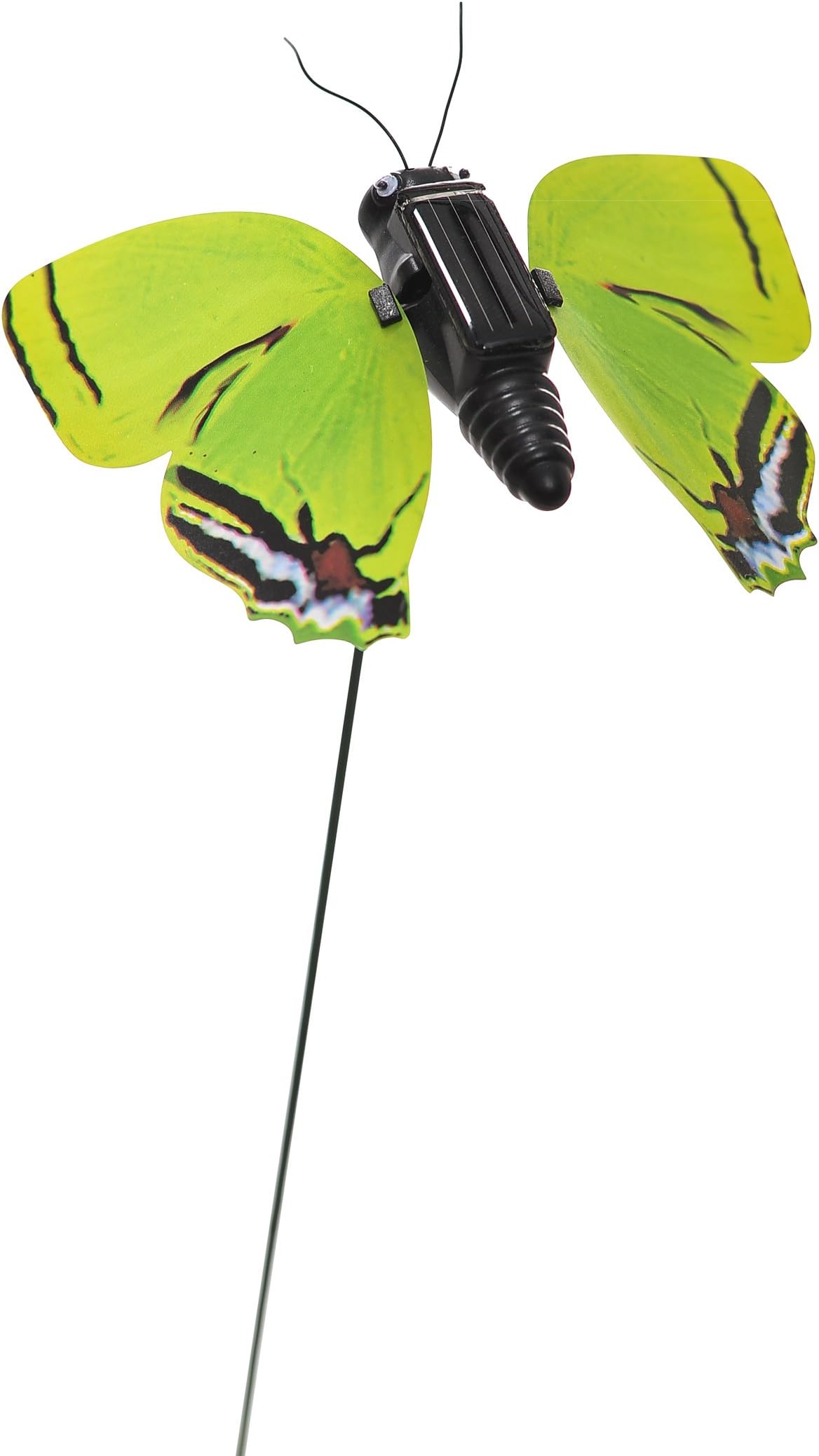 GD124012 Solar Buddies Flapping Thecla Telemus Butterfly Plant Pick