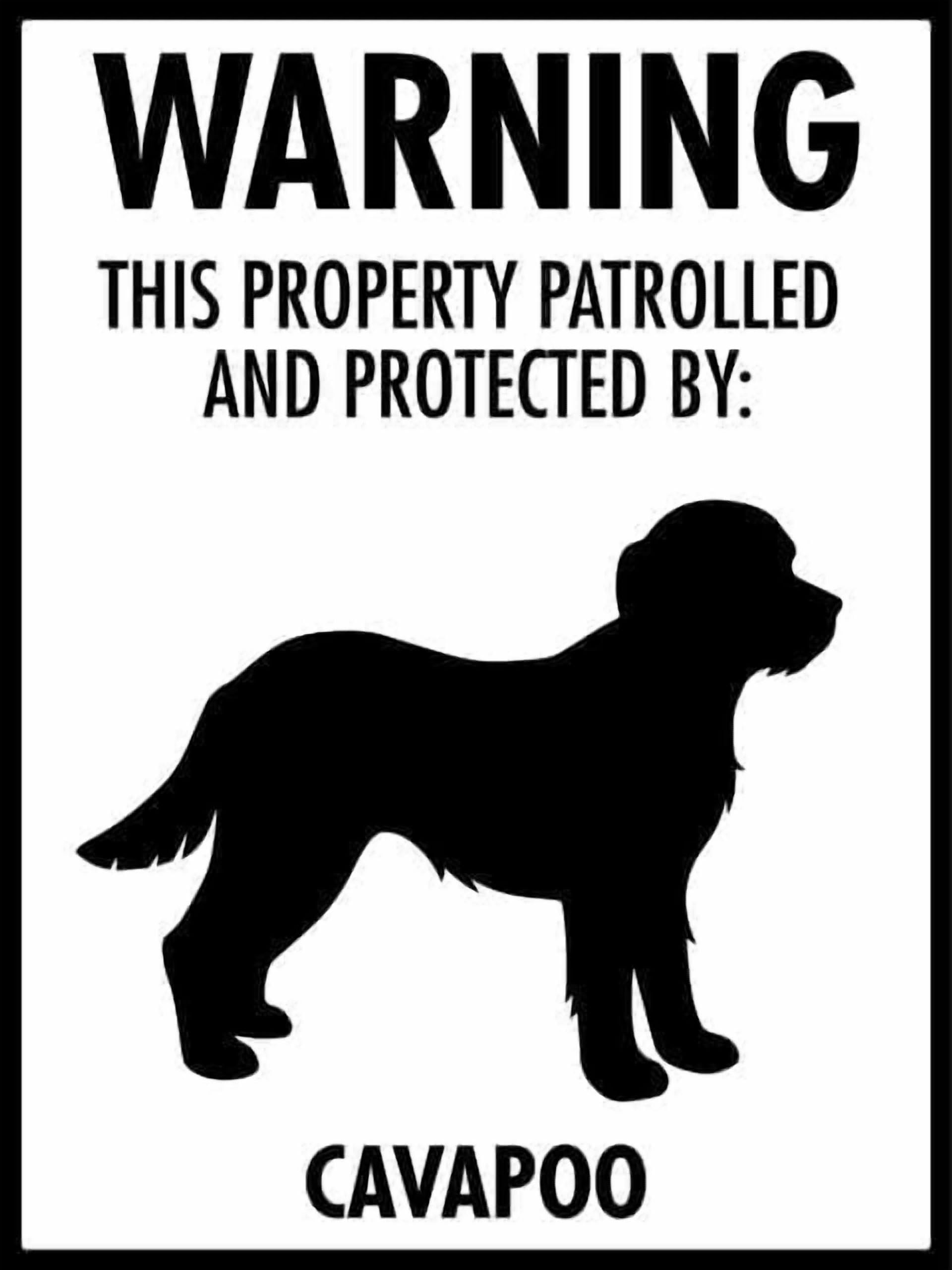 (2-Pack) Warning Metal Tin Sign This Property Patrolled And Protected By Cavapoo Sign Rustic Sign Home Outdoor Art Wall Decorations For Cafe Bar Kitchen 12X8 Inch