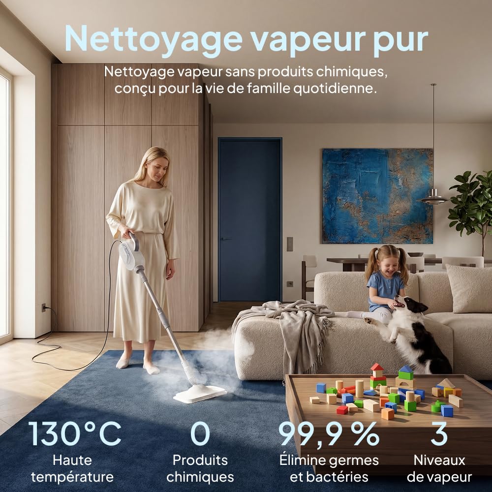 Livatro Balai vapeur 13 en 1 avec nettoyeur à main amovible