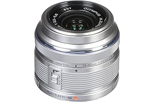 Compact Olympus Micro Four Thirds 14-42mm Lens