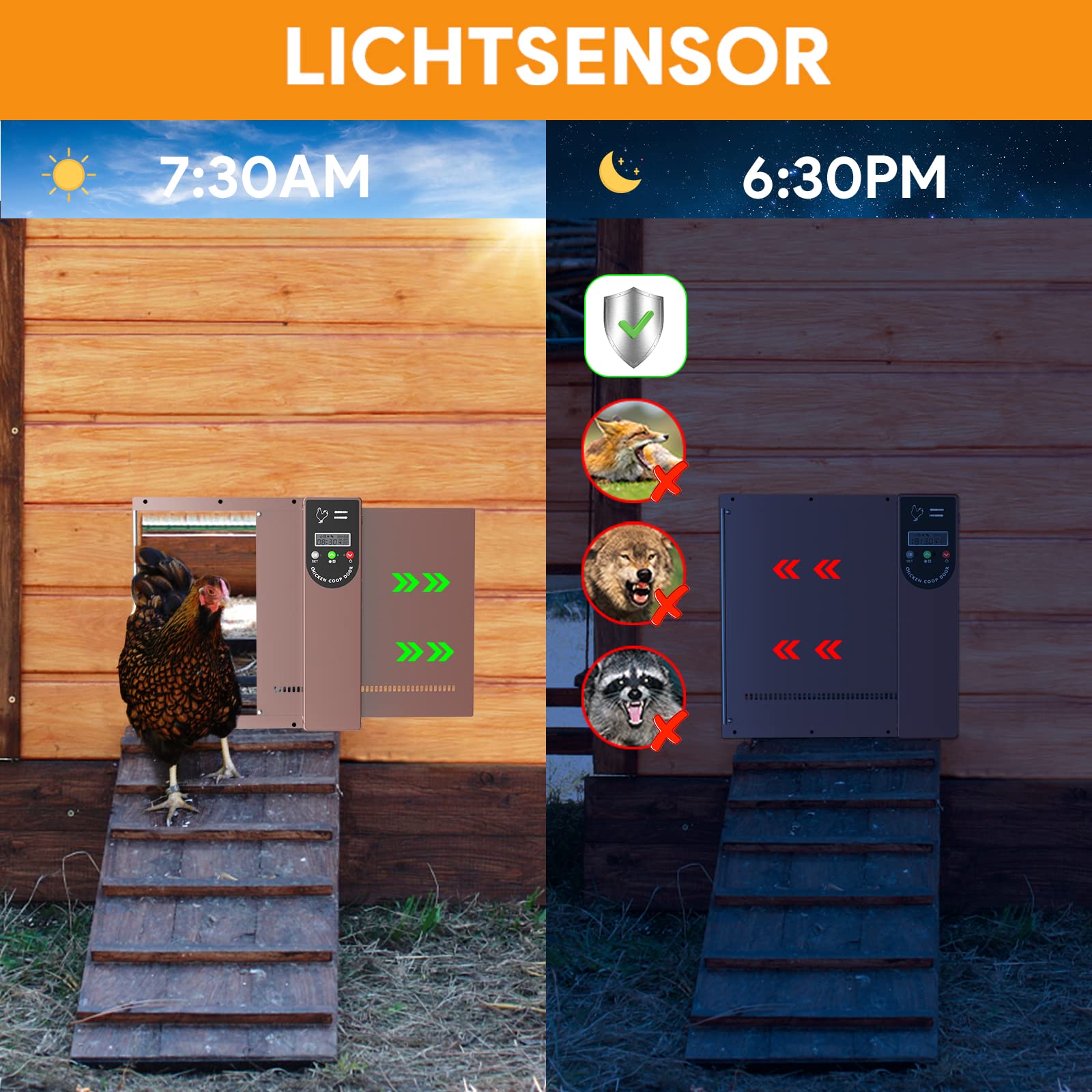 Porta Automatica Per Pollaio - Con Timer E Sensore Di Luce, Ricarica Solare O USB