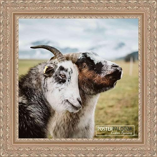 Miniatura 9 de Poster Palooza Marco de fotos de madera adornado plateado de 11 x 9 pulgadas con plexiglás acrílico UV, parte trasera de tablero de espuma y