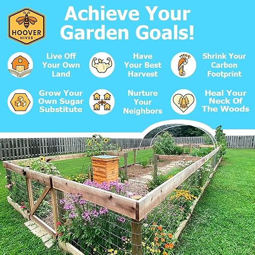 Miniatura 5 de Hoover Hives 8 marcos de colmena Langstroth sumergido en cera de abeja 100% incluye marcos de madera y bases enceradas (2 cajas profundas, 1 caja