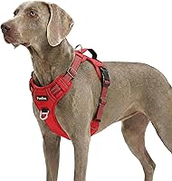 Vista 60 de Funfox Arnés para perro sin tirones, arnés de chaleco ajustable para mascotas, material súper suave con mango vertical, fácil control, paseo