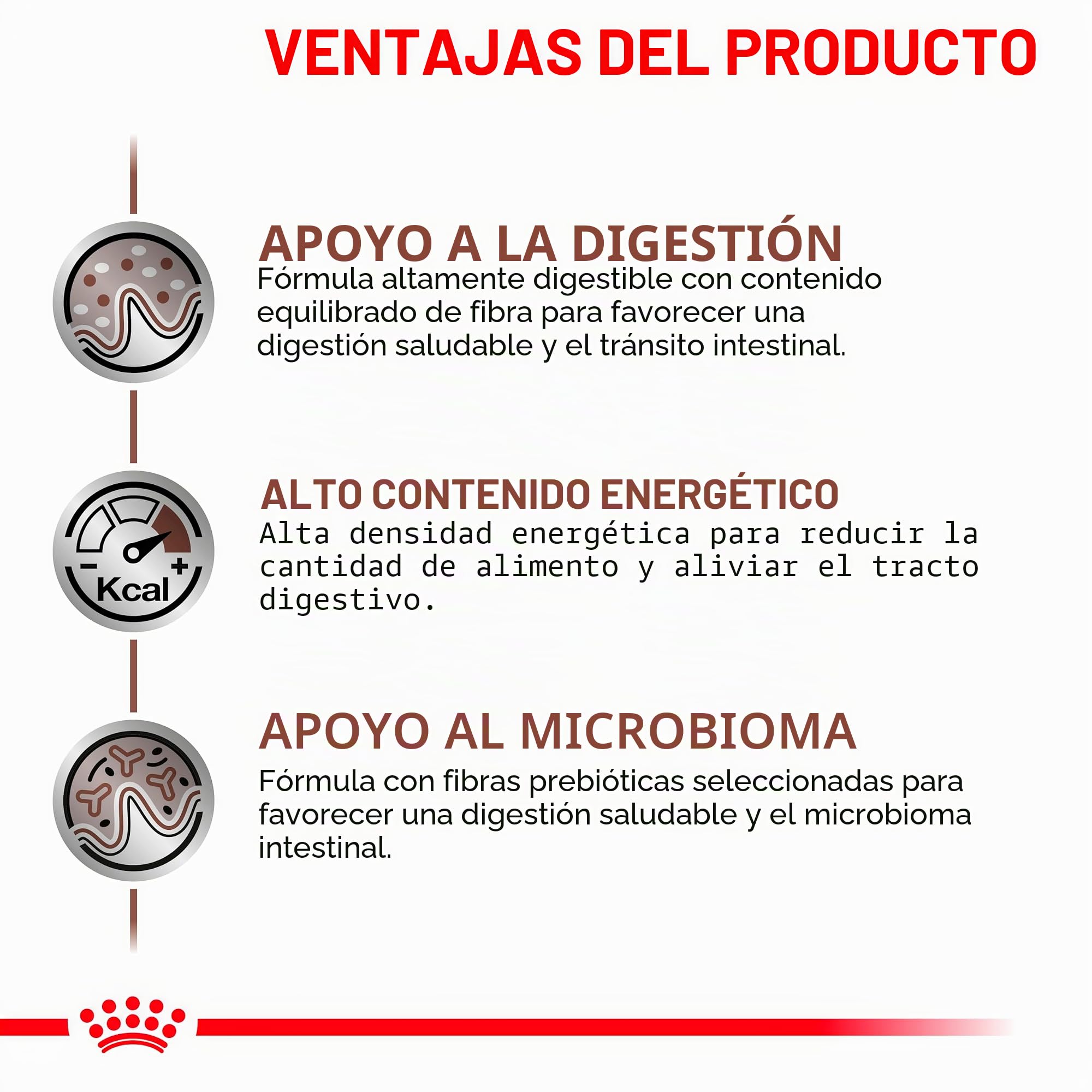 Royal Canin Veterinary Gastrointestinal | Paquete de 4 | 4 x 12 x 85 g | Comida húmeda para Gatos Adultos | Trozos Finos en Salsa | para trastornos de absorción intestinal
