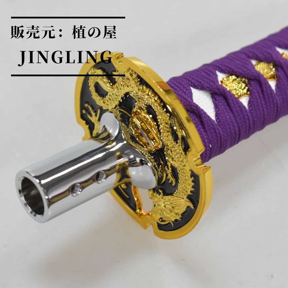 71vwx86HEwL._AC_UF1000,