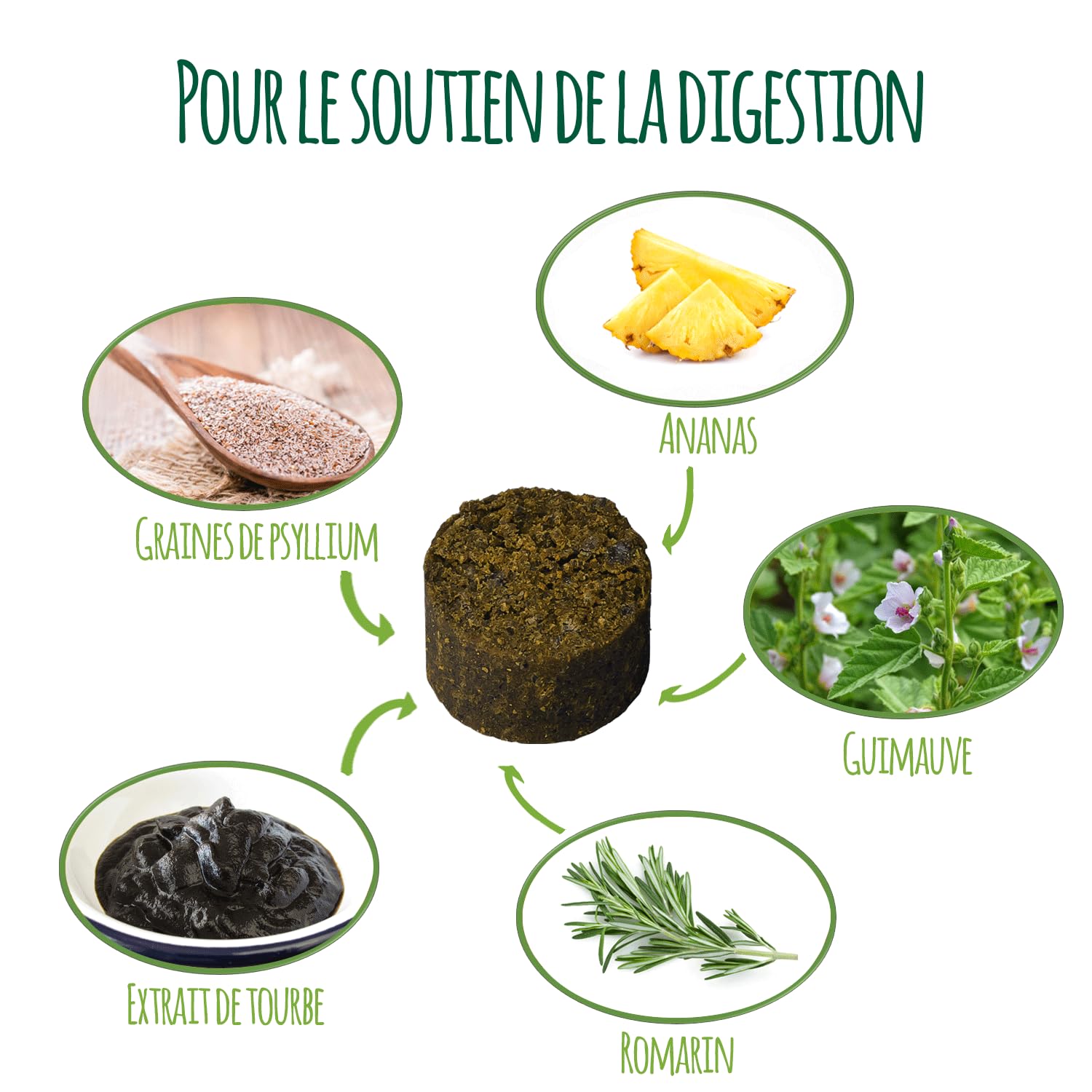 Grasfresser Drops I Suppléments digestifs pour Chiens en Mangeant de l'herbe I Comprimés pour Le Soutien digestif I Complément nutritionnel pour Chiens I Fabriqué en Allemagne (300g)