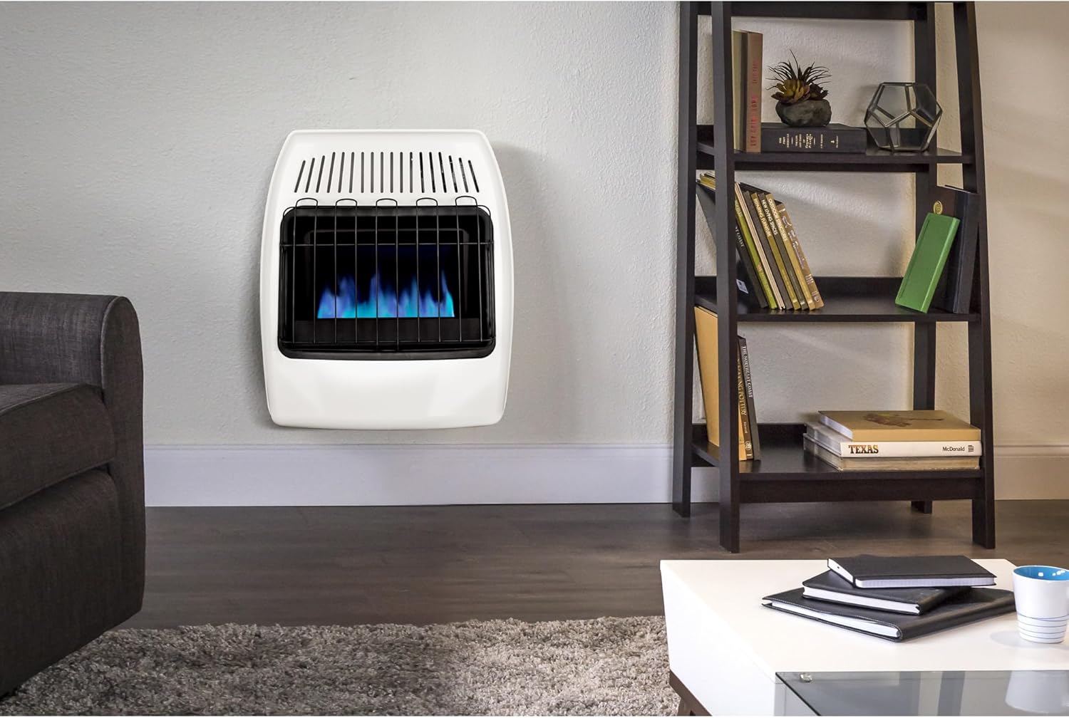 Dyna-Glo 20,000 BTU Natural Gas Blue Flame Vent Free Wall Heater