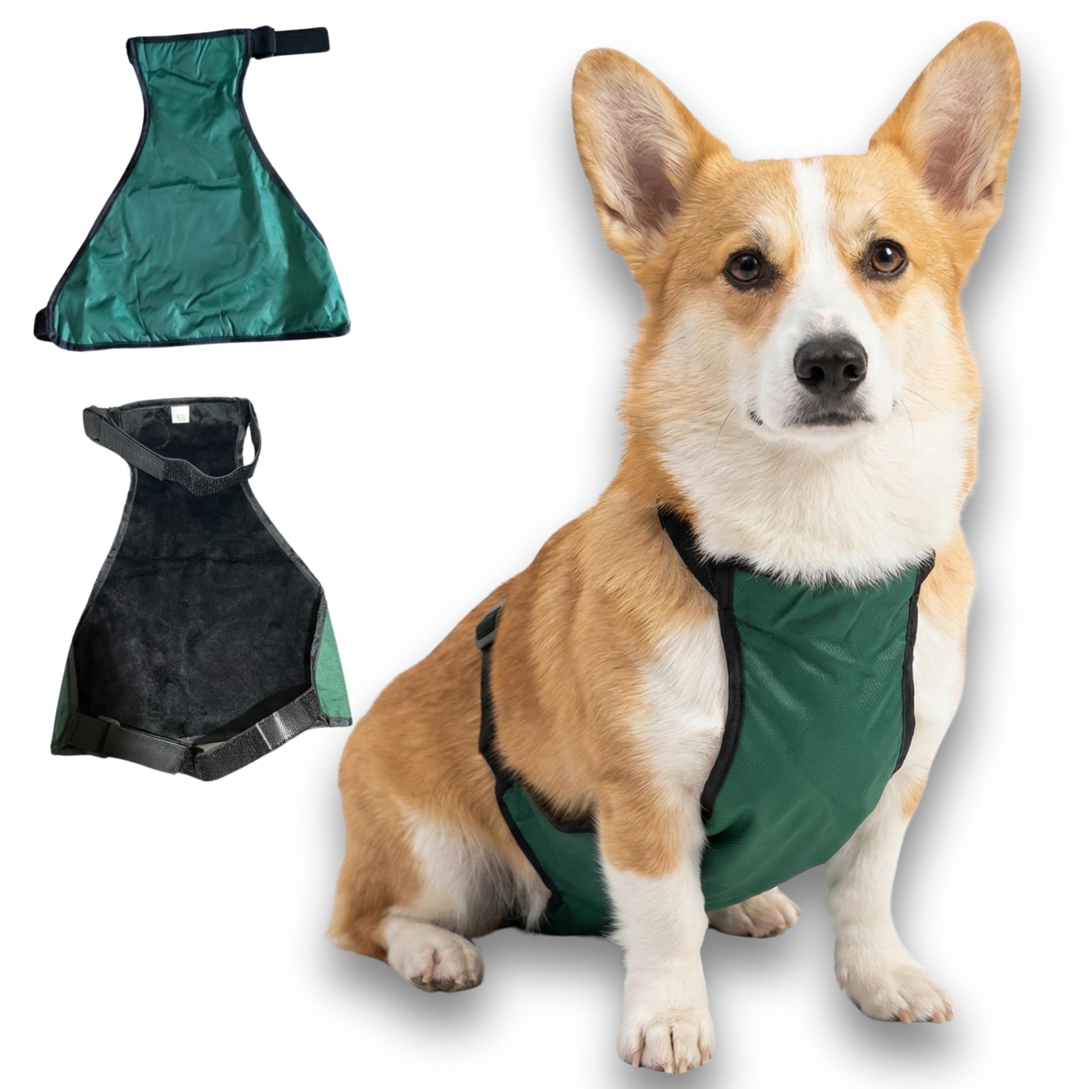 Pawcratean Dog Belly Protector Waterproof Halter Top for Outdoor Exercise Soft Comfy Inner Fluff Prevent Dirty Belly Suitable for Rainy Day Prevent Mug & Dirt (Girl/Female, Medium)