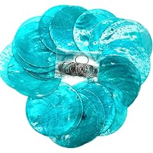 20pc 2Inch Round Capiz Sea Shells,2 Holes Capiz Shells,for Home Decor,Wind Chimes,Jewelry Making Crafts Decoration Turpuoise