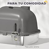 Ver la foto 5