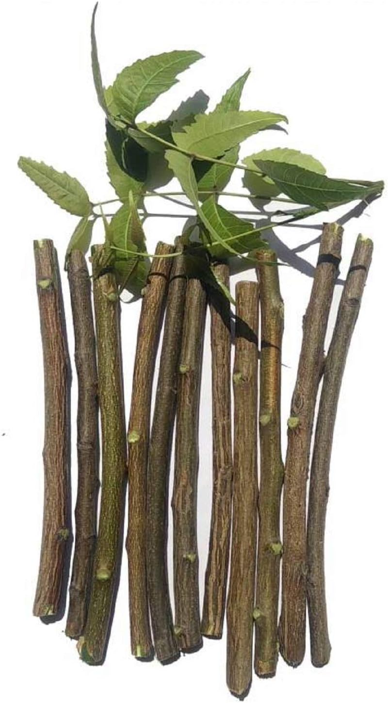 Natural Neem Chew Sticks/Tree Datun Twigs Organic Manual Toothbrush for Adult...