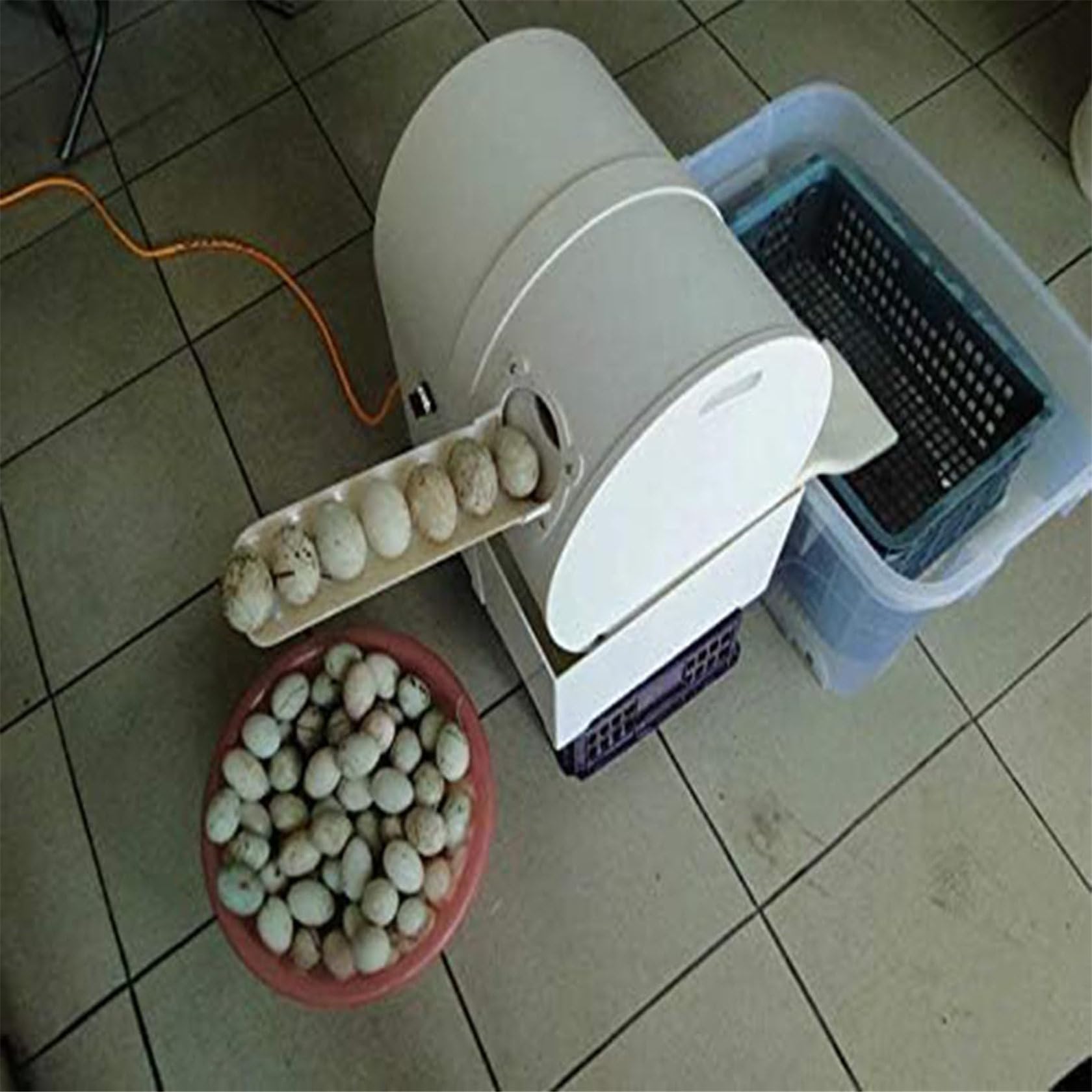 NYMFEA Automatic Egg Cleaning Machine, 120W, Commercial Chicken Duck Goose Egg Brushing Machine, ABS Body, Nylon Brush, 220V