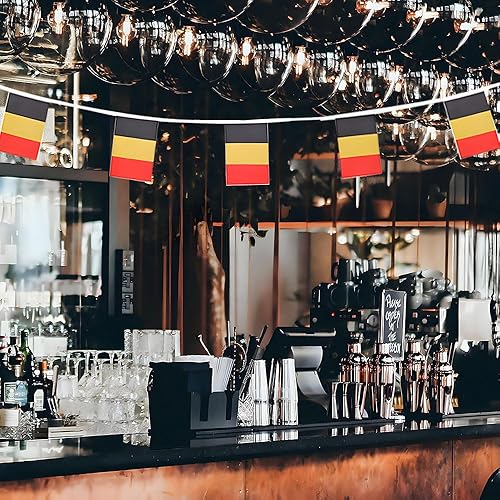 Miniatura 203 de Bandera de Argentina pequeña mini bandera argentina decoración para desfiles, fiestas, aulas, jardines y festivales (Argentina)