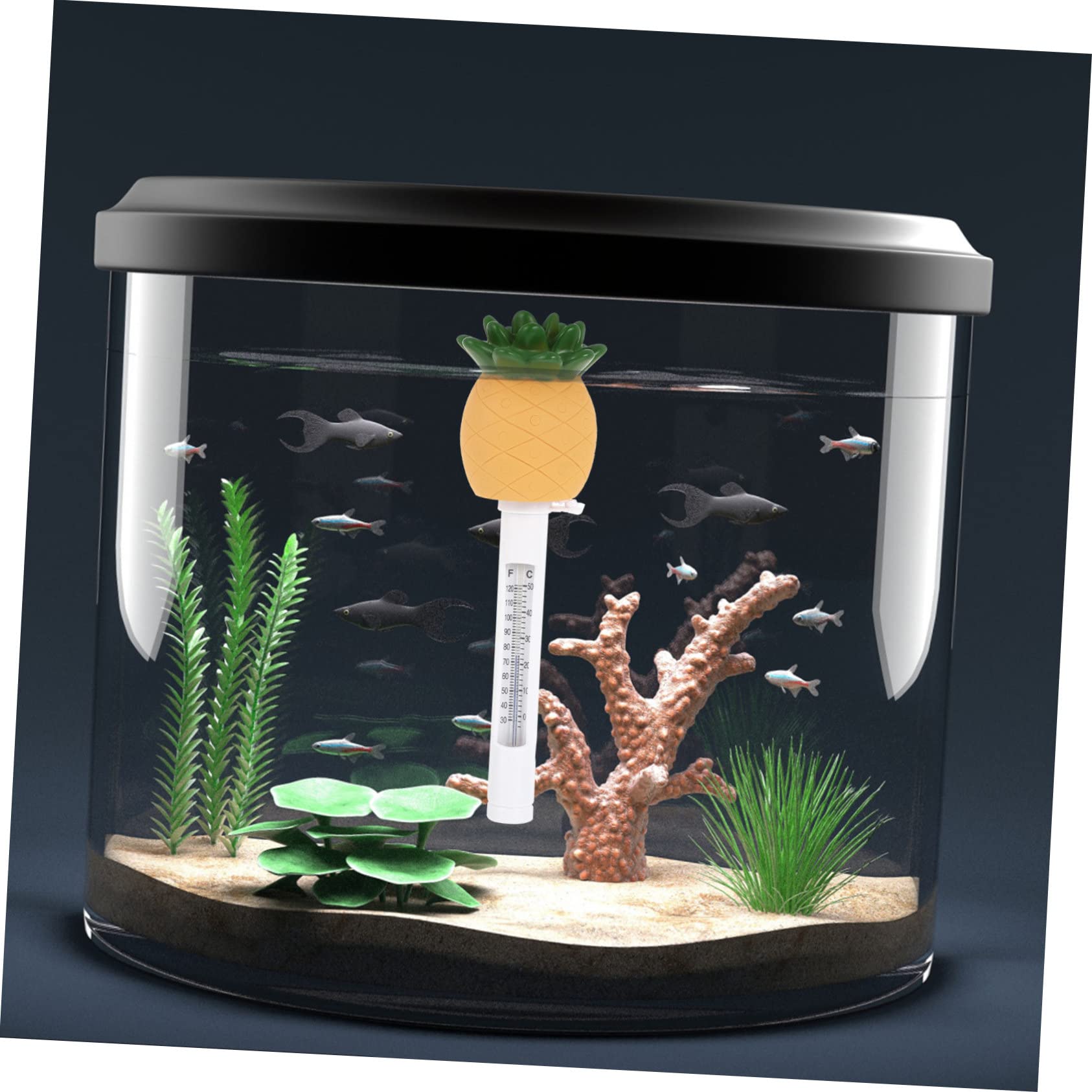 Toyvian 2 Stück Schwimmendes Poolthermometer Cartoon Pineapple Design Präzises Wasserthermometer für Innen und Außenschwimmbäder Fischteiche und Celsius Fahrenheit Anzeige für Dekoration