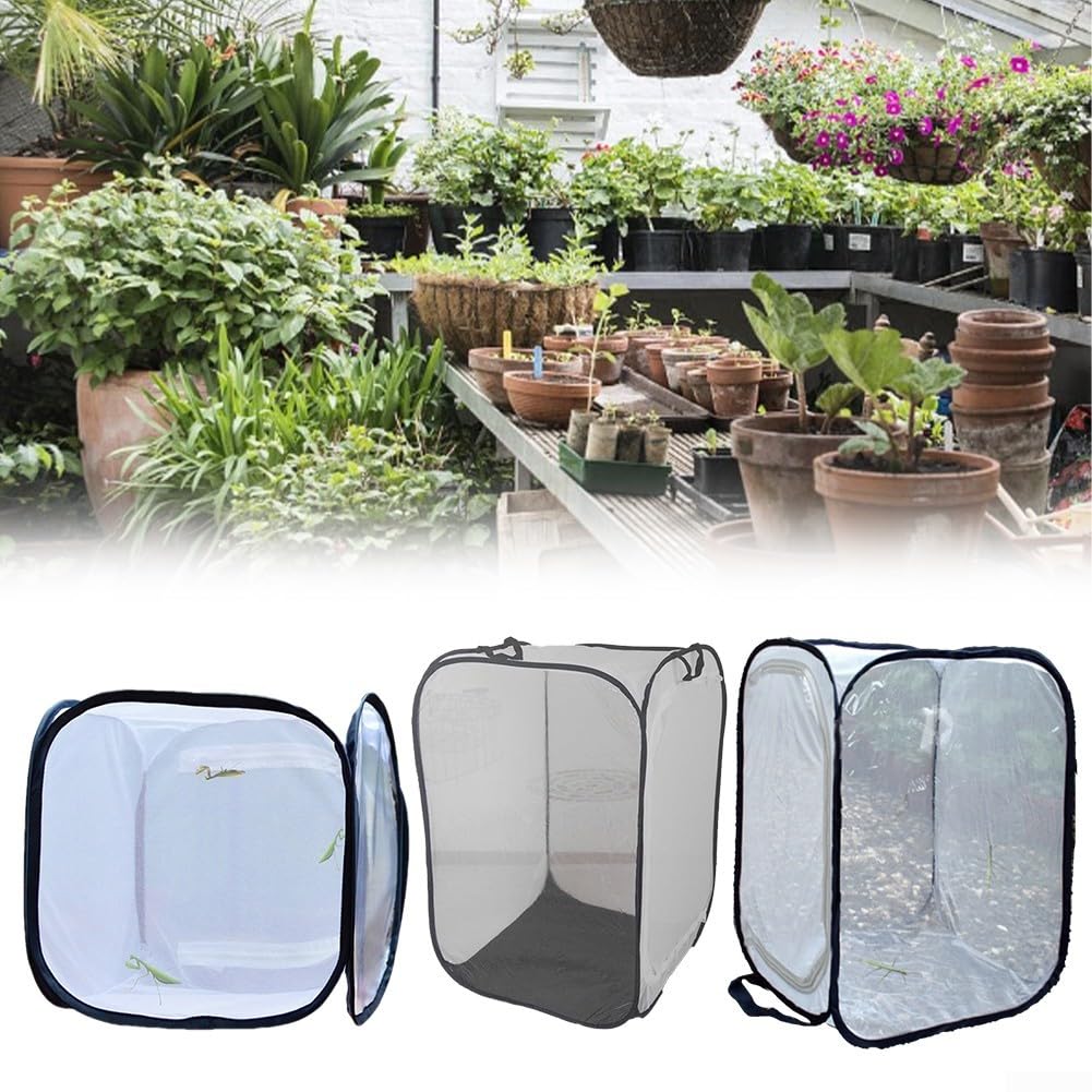 View 5