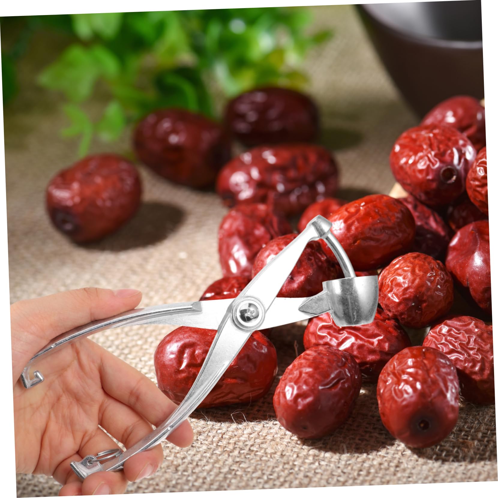 BRIGHTFUFU Professional Cherry Pitter Cherry Pit Remover Metal Pitter Compact Cores Remover