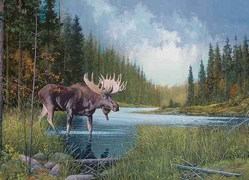 Preisvergleich Produktbild Cobble Hill 1000 Teile Puzzle Elchsee Musterposter im Lieferumfang enthalten