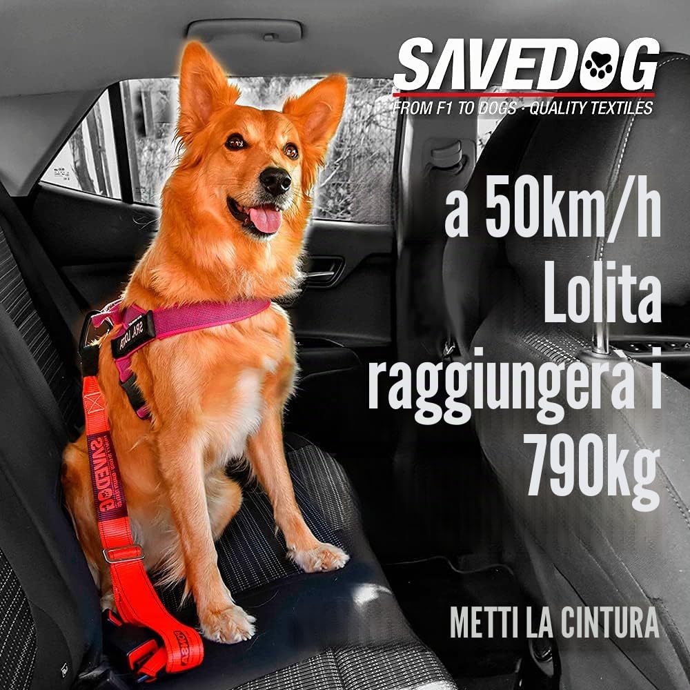 SAVEDOG Guinzaglio di sicurezza per cani e auto. La chingia più sicura sul mercato, resiste 1.000 kg Conforme alla norma ISO 27955: 2010 Rif.027172050102