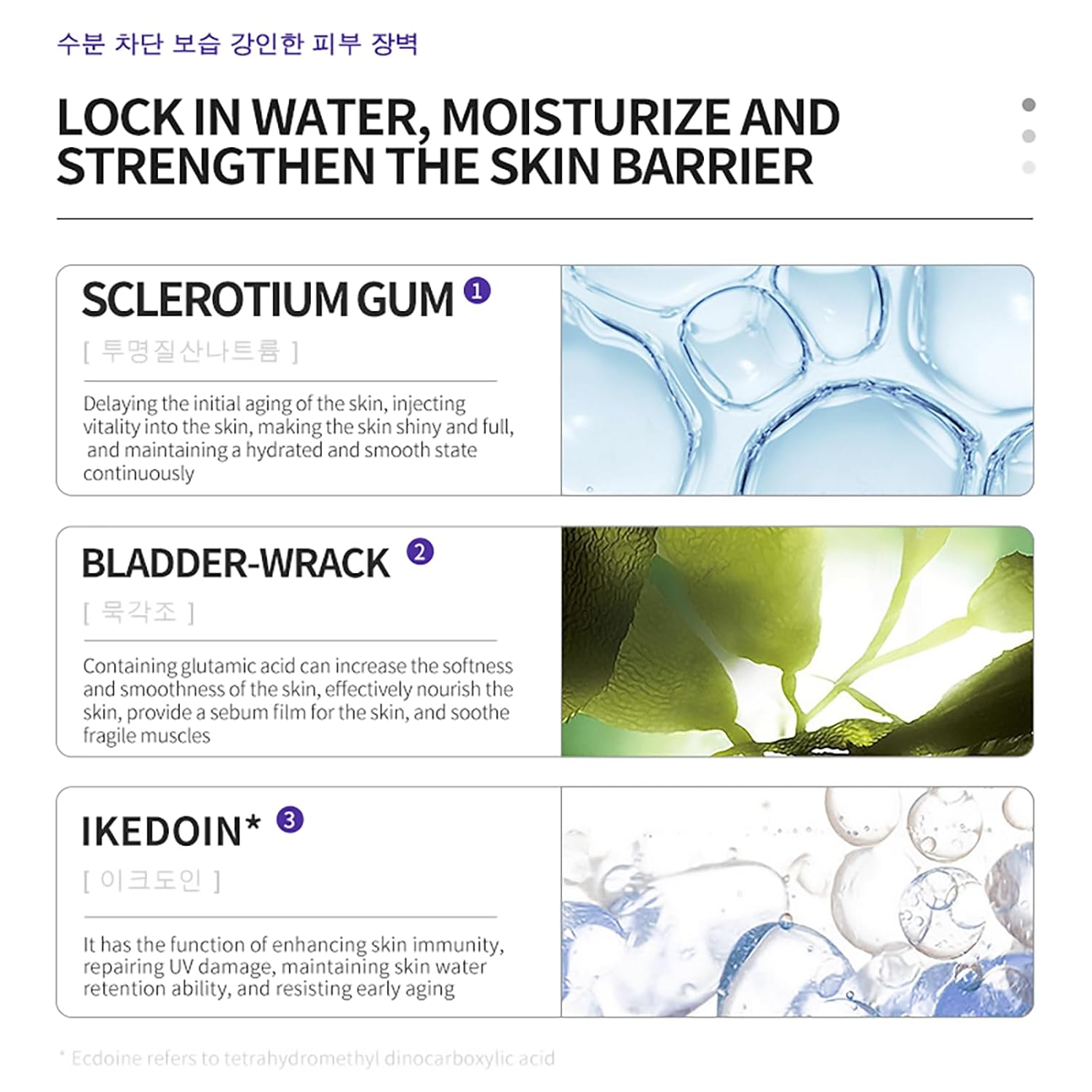 DEleventh Korean Brand Pro-Xilane Face Serum 37ml / Anti-Aging & Anti-Wrinkle, with Bifida Ferment Lysate, Acetyl Hexapeptide-8, and Hyaluronic Acid for a Youthful, Hydrated, and Radiant Complexion - Image 5