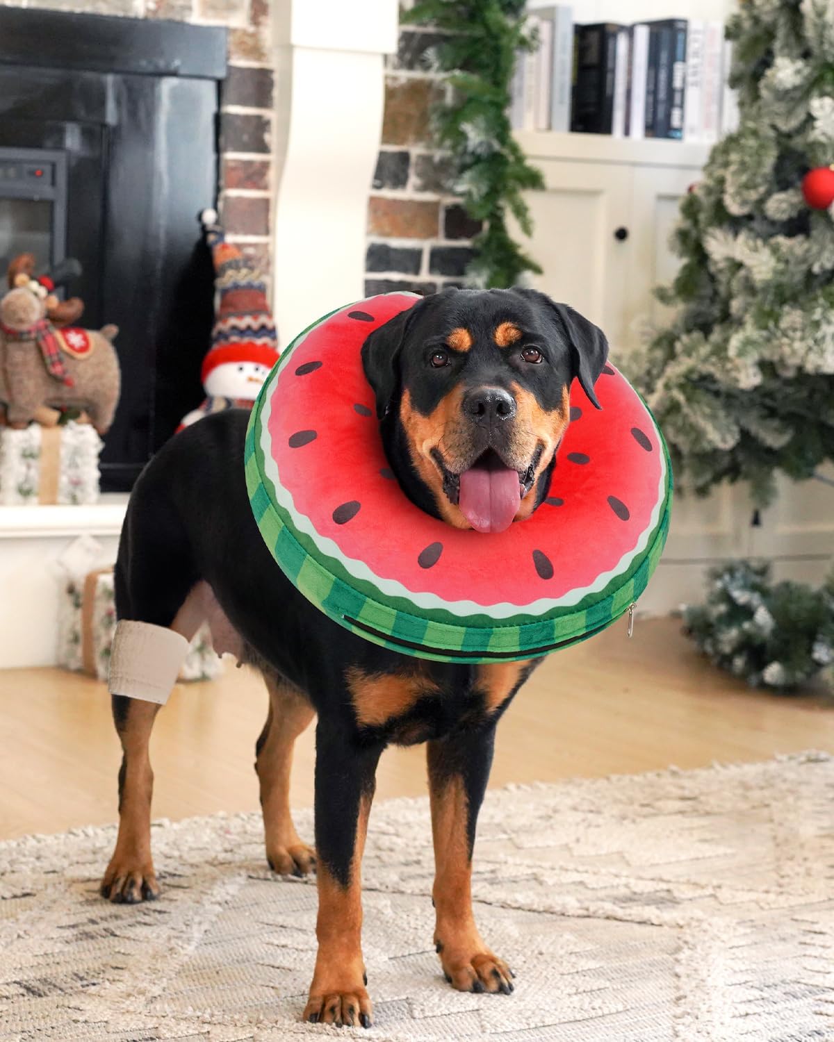 Inflatable Dog Pillow Cone Collar After Surgery, Donut Soft Neck Cone for Husky Border Collie Large Dogs, etc, Recovery E Collar to Stop Licking Watermelon