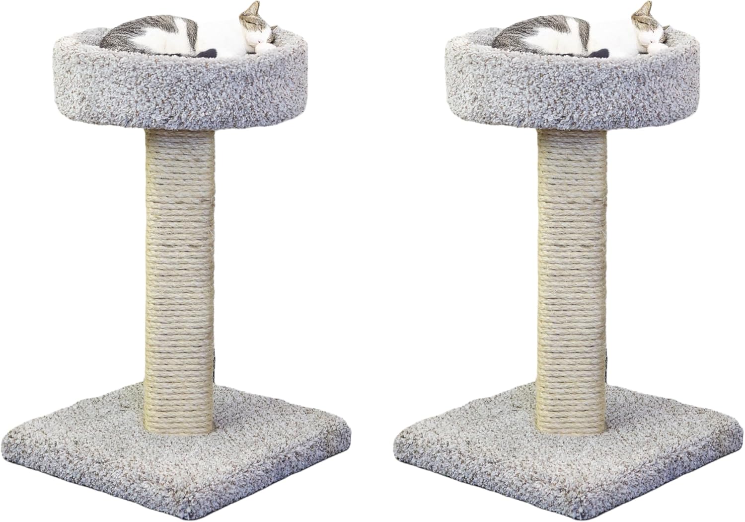 2-Pack New Cat Condos Cat Scratching Post with Sleeping Perch