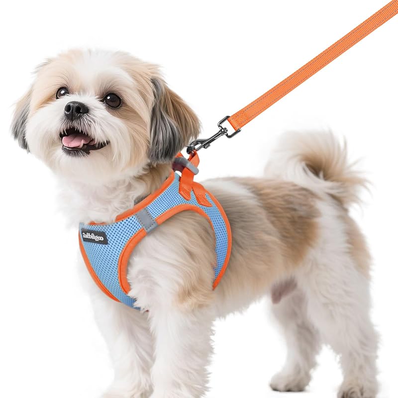 Peitoral vest para cães pequenos com guia e fechamento aderente rabbitgoo Blue & Orange, tamanho S