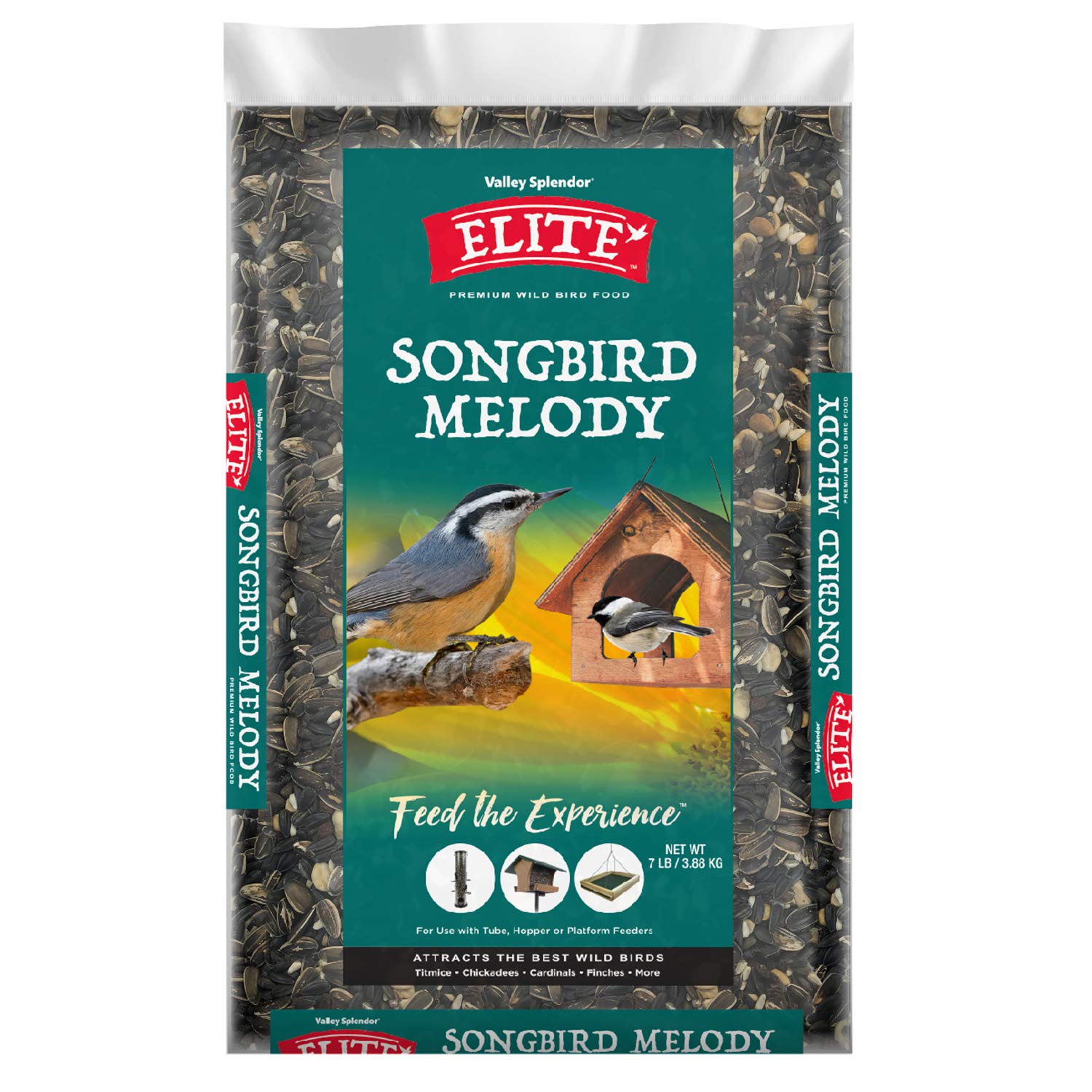Valley Splendor Songbird Melody