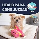 Ver la foto 5