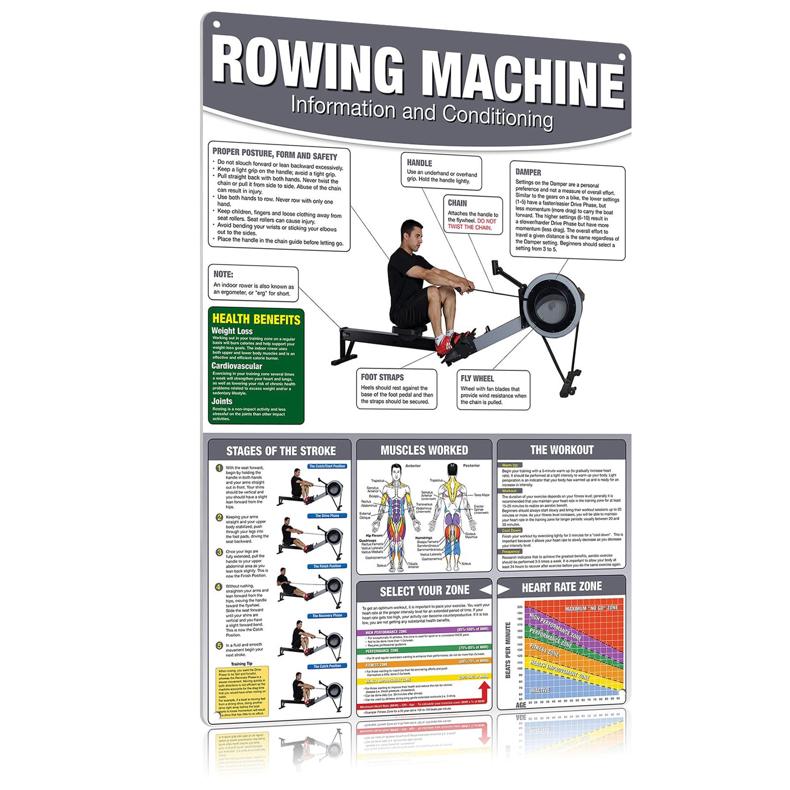rayprint Fitness Knowledge Metal Tin Signs Rowing Machine Information And Conditioning Poster Workout Guide Reference Metal Plaque Home Office Gym Wall Decor 8x12 Inches