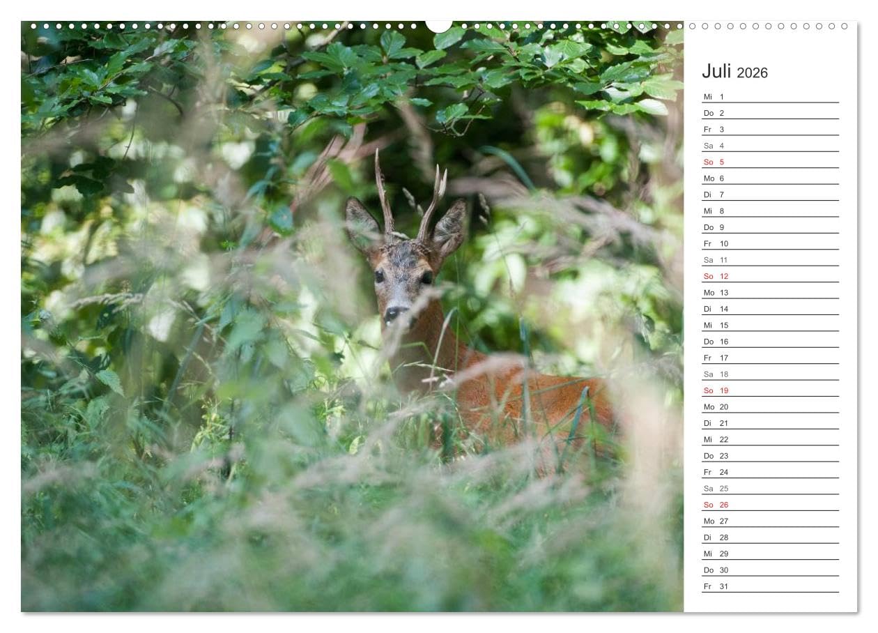 Emotionale Momente: Wild und Jagd. (hochwertiger Premium Wandkalender 2026 DIN A2 quer), Kunstdruck in Hochglanz: Der Planer für alle Jäger und Jagdfreunde. (CALVENDO Hobbys)