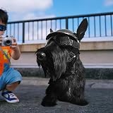 Ver la foto 6
