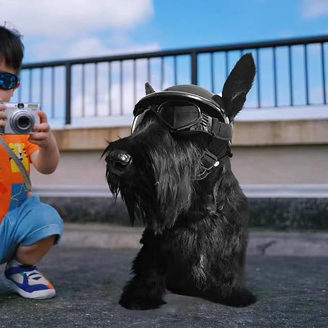 Foto 6 de 6 de UOSIA Casco y Gafas para Perros pequeños, Gafas de Sol para Perros de Moda de Verano