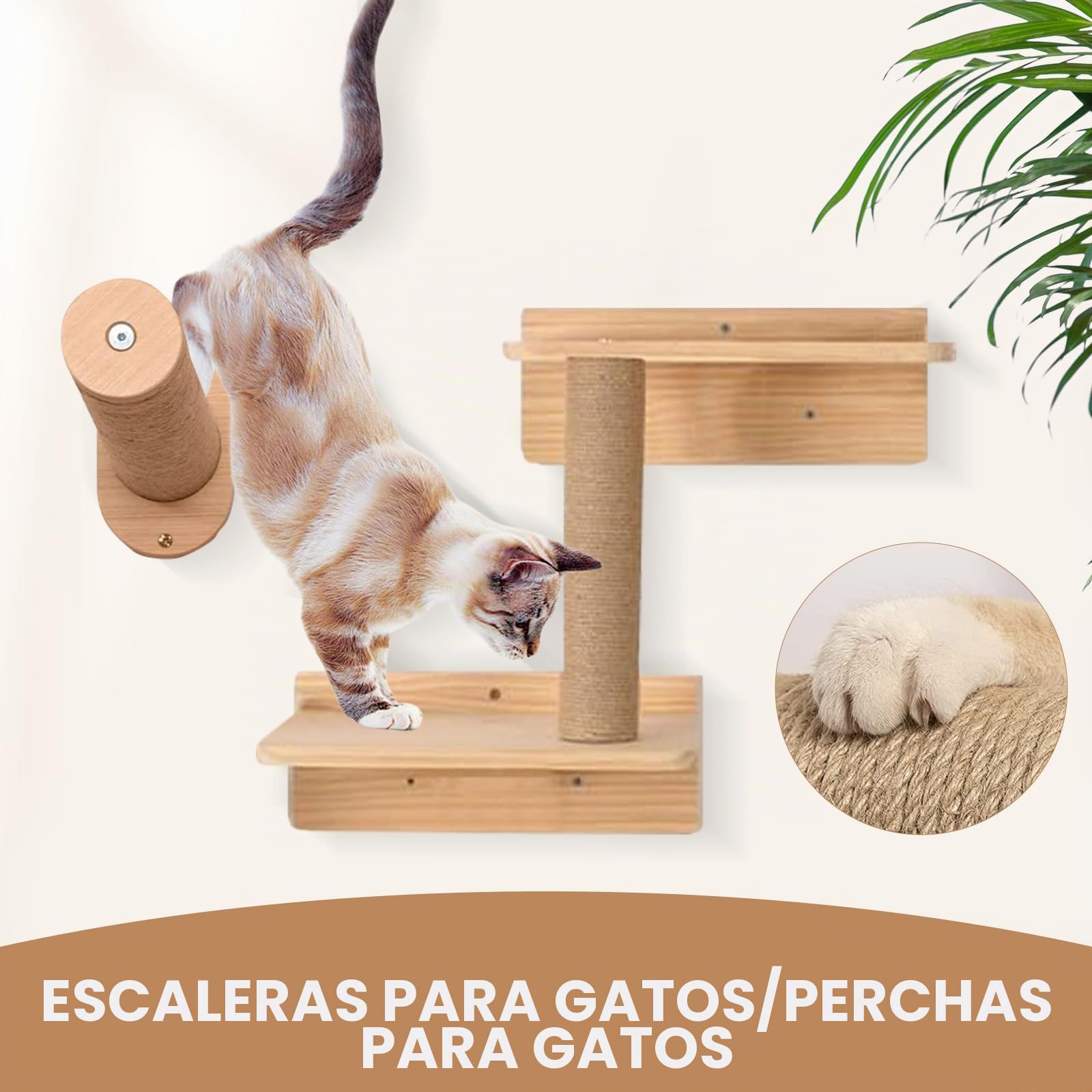 Juego de Pared Trepadora para Gatos - Muebles de 5 Piezas de Madera Maciza en Color Madera, Escaleras, Tumbona y Rascador