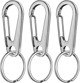Keychain Clip Key Ring,Stainless Steel Small Carabiner Key Chain Hook Holder Organizer for Car