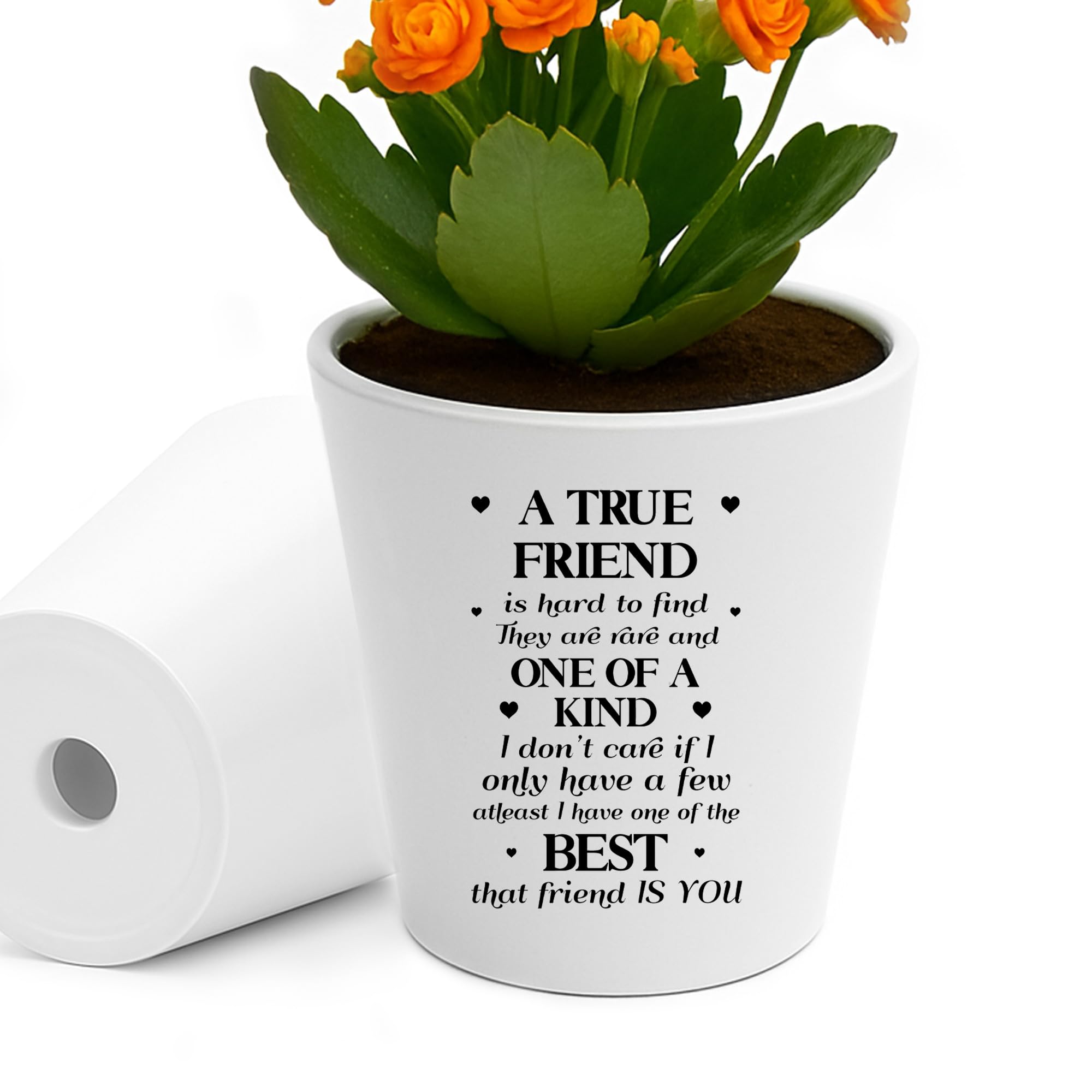 RED OCEAN Funny Gift For Best Friend TRUE FRIEND Plant Pot Friendship Gifts Best Gifts For Him Her Birthday Gift Men Women Keepsake