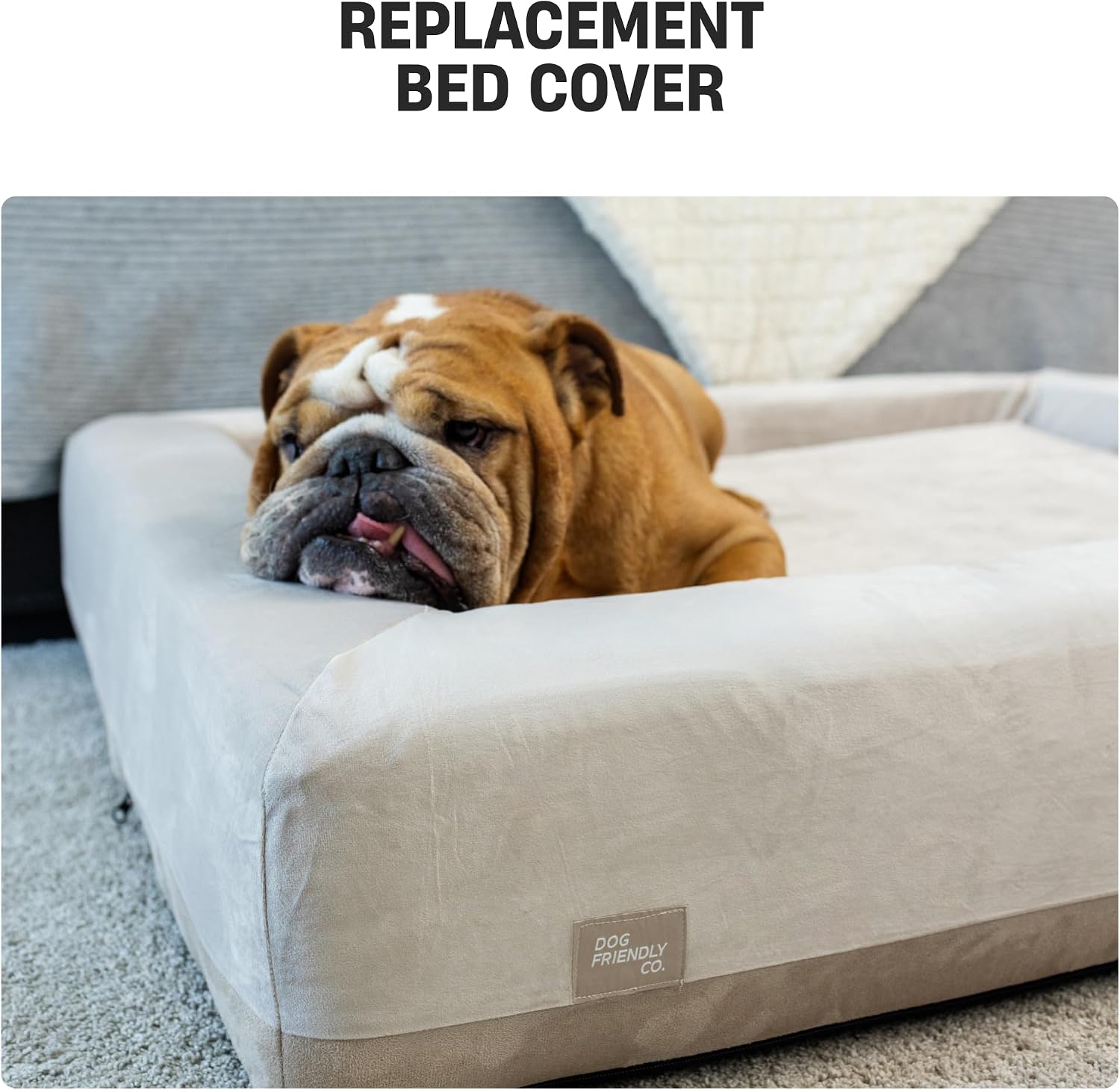 Dog Friendly Co. Dog Bed Replacement Cover | Washable Dog Bed Cover | Zipper | Soft Velvet, Durable & Easy to Clean, Allergy-Friendly | Outer Cover ONLY – No Bed Included | Beige | Large