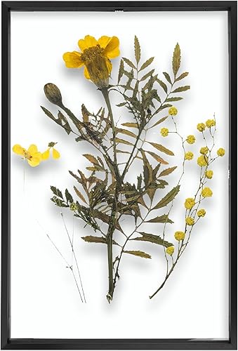 Vista 17 de Frametory, Marco de fotos flotante de 8 x 10 pulgadas, marco de fotos de metal de aluminio negro, cristal real de la parte delantera, para pantallas