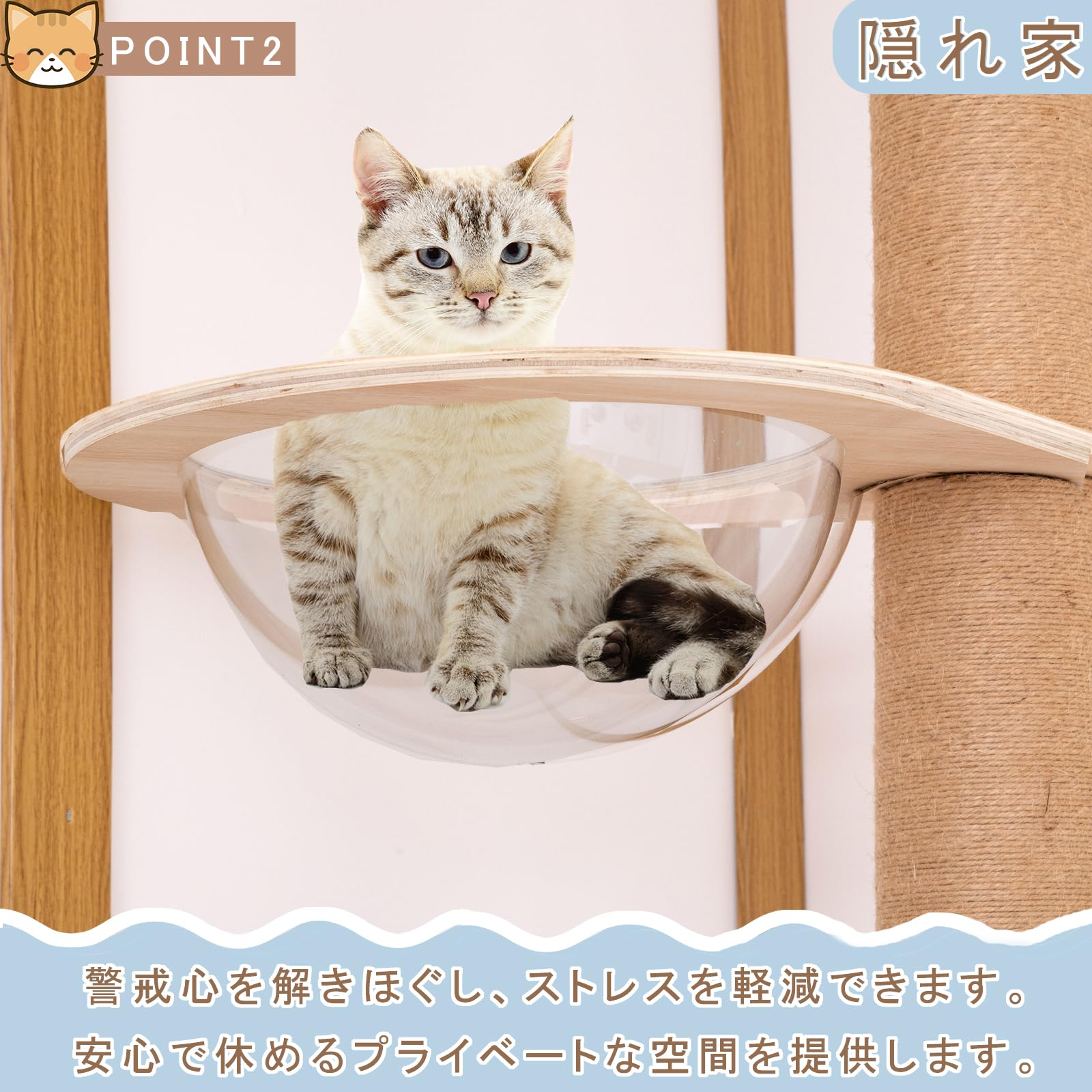 Amazon | PETTOM キャットタワー 猫タワー 大型猫用 ねこハウス