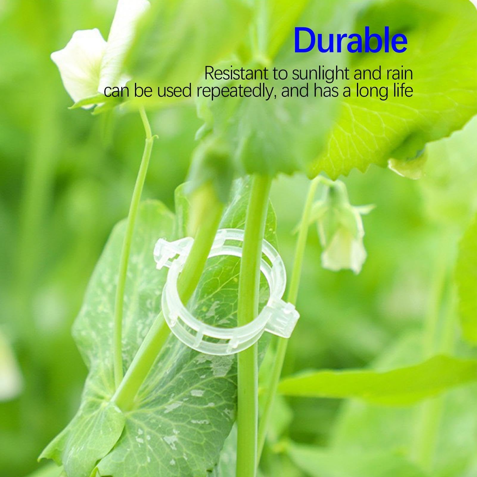 Attaches de Jardin, Clips de Support for Plantes Jardin, 300 pièces, Blanc, Vert, for tiges Vigne(Wit)
