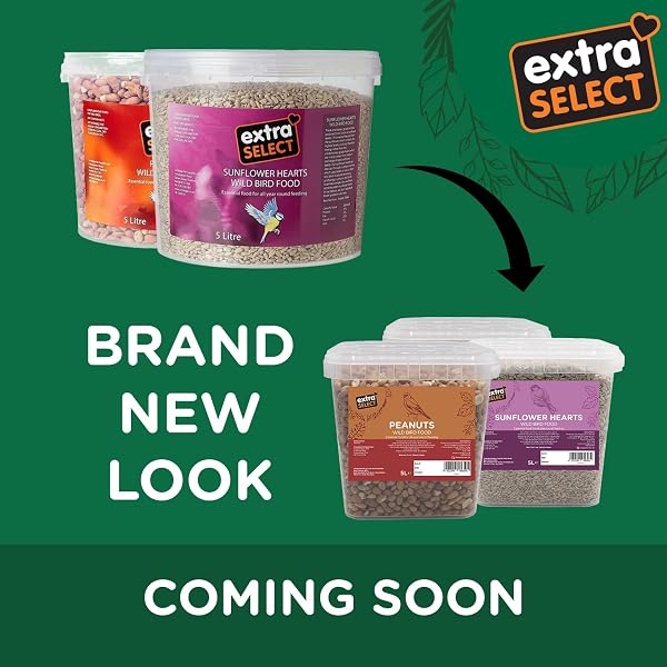 Extra Select Black Sunflower Seed Wild Bird Food, 5 Litre Tub - 5