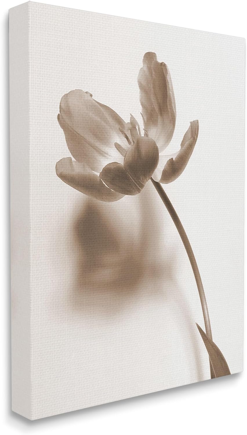Stupell Industries Minimal Tulip Stem Canvas Wall Art by Gail Peck