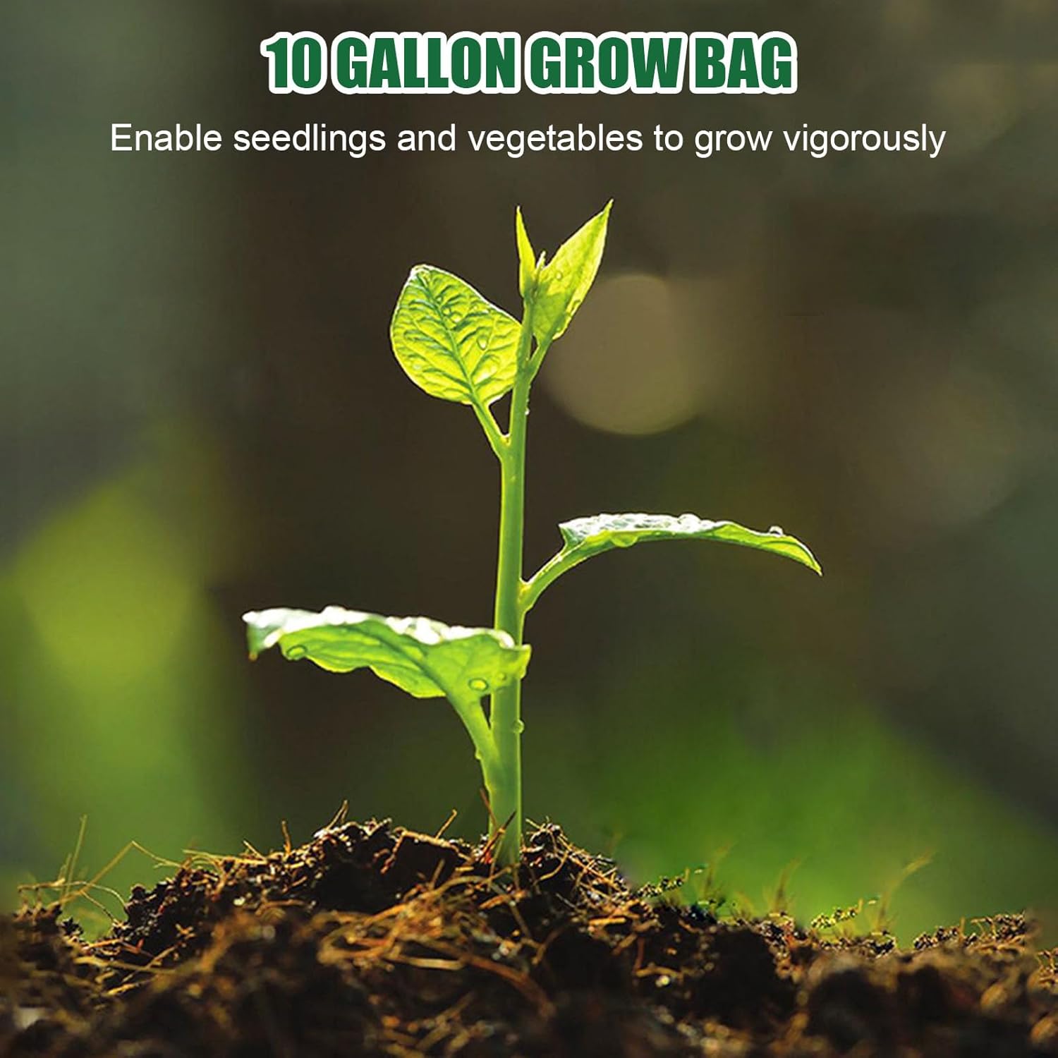 植え付け袋、庭の栽培袋,野菜を育てる庭の袋 | エアレーションを備えた10倍のファブリックプランター、野菜、花、果物のための10/1