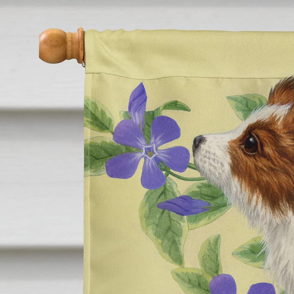 Caroline's Treasures ASA2129CHF Papillon Pups House Flag Large Porch Sleeve Pole Decorative Outside Yard Banner Artwork Wall Hanging, Polyester, House Size, Multicolor