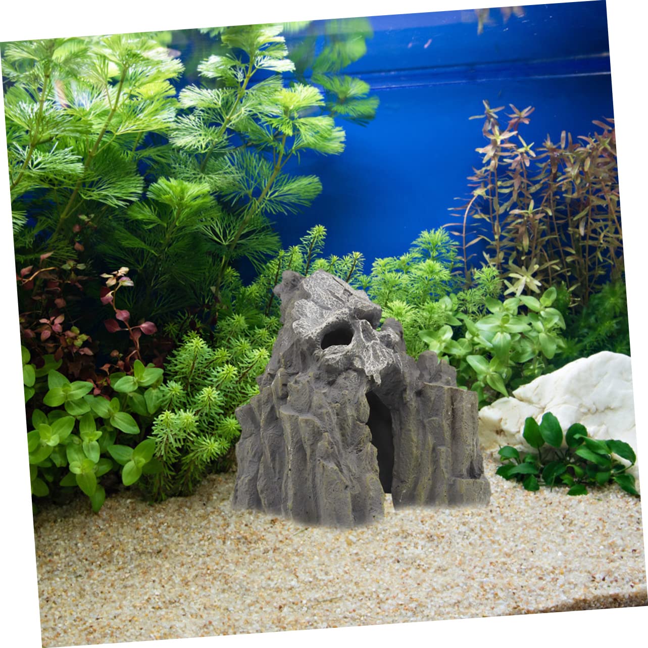 BESPORTBLE Décoration Colline pour Aquarium Crâne Résine Cachette Poissons Et Crevettes